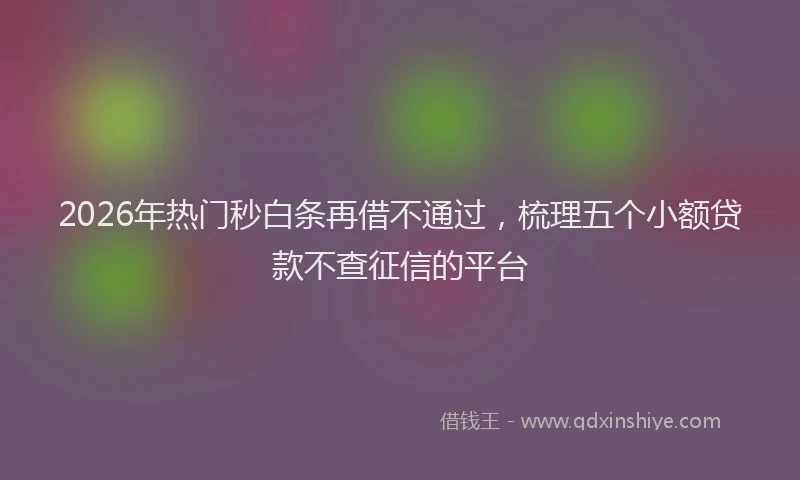 2026年热门秒白条再借不通过，梳理五个小额贷款不查征信的平台