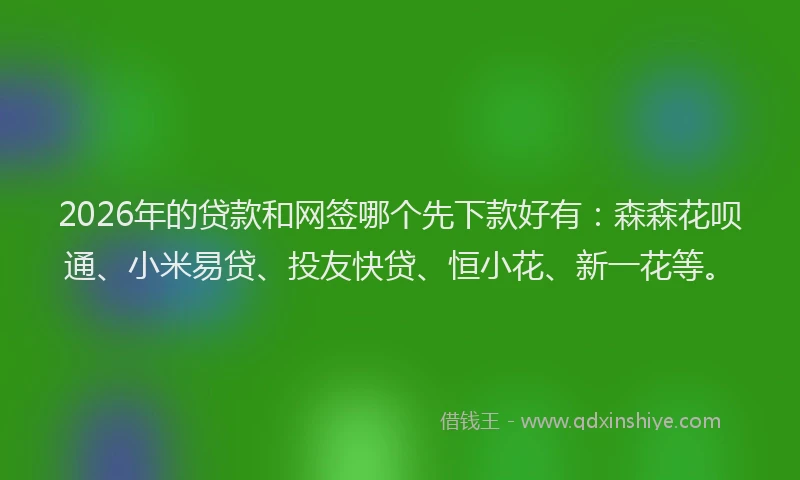 2026年的贷款和网签哪个先下款好有：森森花呗通、小米易贷、投友快贷、恒小花、新一花等。