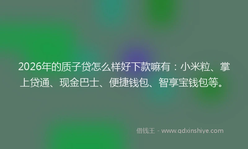 2026年的质子贷怎么样好下款嘛有：小米粒、掌上贷通、现金巴士、便捷钱包、智享宝钱包等。