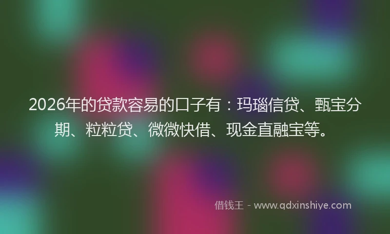 2026年的贷款容易的口子有：玛瑙信贷、甄宝分期、粒粒贷、微微快借、现金直融宝等。
