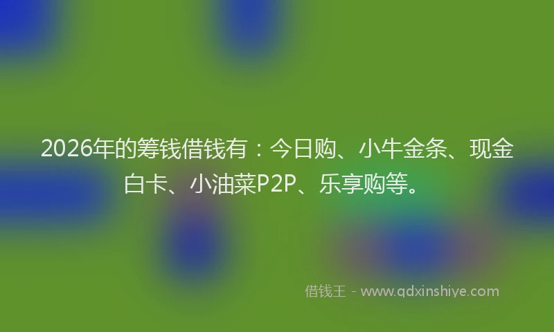 2026年的筹钱借钱有：今日购、小牛金条、现金白卡、小油菜P2P、乐享购等。