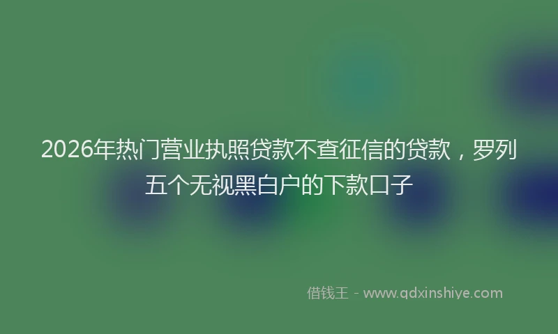 2026年热门营业执照贷款不查征信的贷款，罗列五个无视黑白户的下款口子