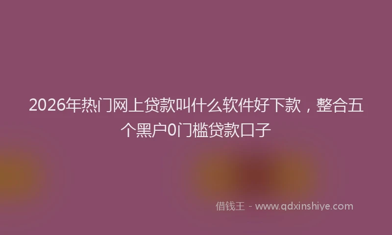 2026年热门网上贷款叫什么软件好下款,整合五个黑户0门槛贷款口子