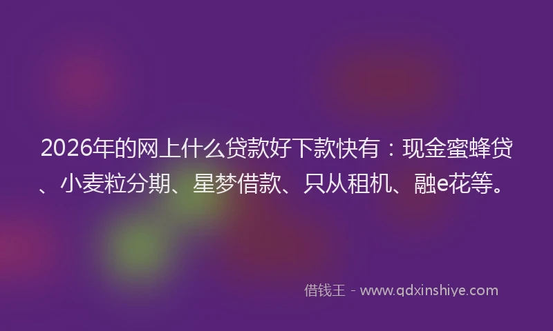 2026年的网上什么贷款好下款快有:现金蜜蜂贷、小麦粒分期、星梦借款、只从租机、融e花等。