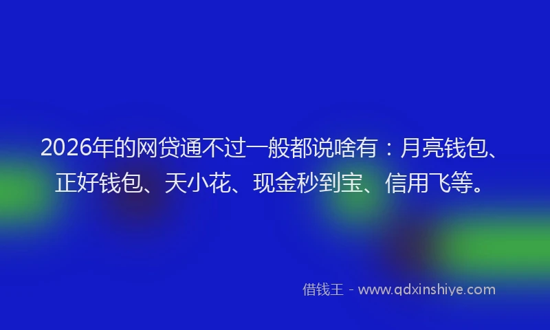 2026年的网贷通不过一般都说啥有：月亮钱包、正好钱包、天小花、现金秒到宝、信用飞等。