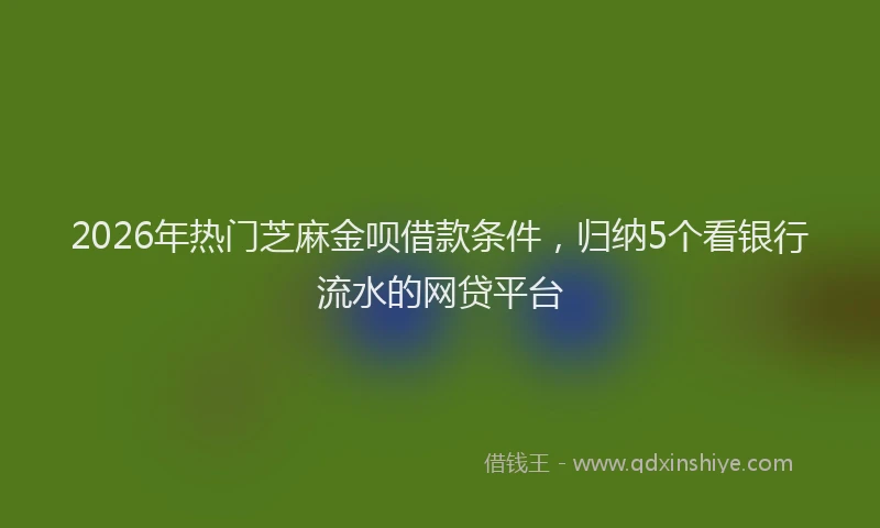 2026年热门芝麻金呗借款条件，归纳5个看银行流水的网贷平台