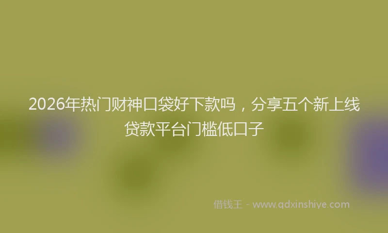 2026年热门财神口袋好下款吗，分享五个新上线贷款平台门槛低口子