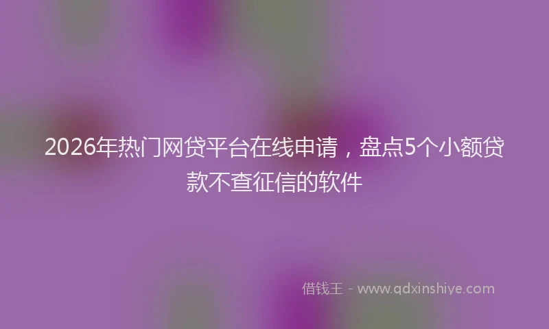 2026年热门网贷平台在线申请，盘点5个小额贷款不查征信的软件