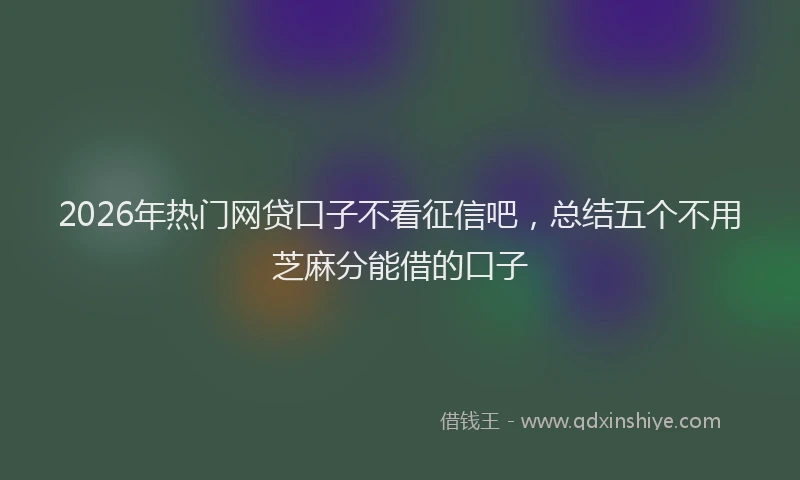2026年热门网贷口子不看征信吧，总结五个不用芝麻分能借的口子