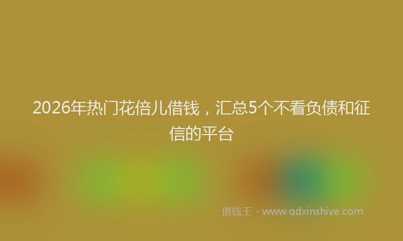 2026年热门花倍儿借钱,汇总5个不看负债和征信的平台
