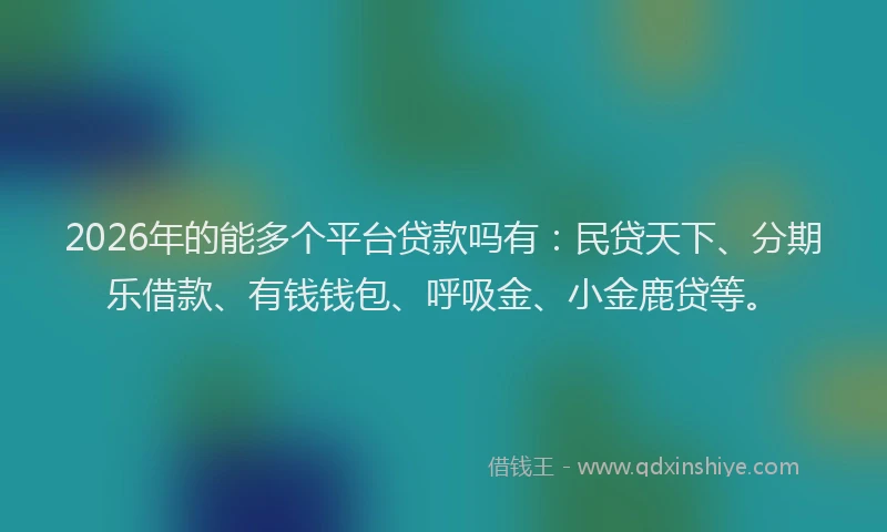 2026年的能多个平台贷款吗有：民贷天下、分期乐借款、有钱钱包、呼吸金、小金鹿贷等。