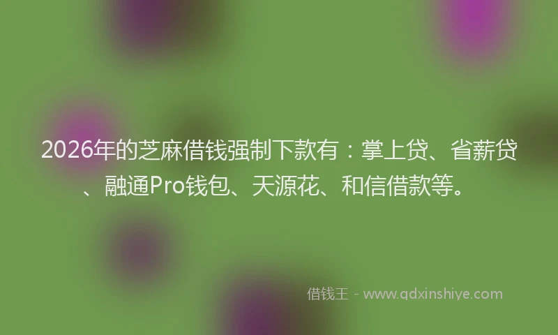 2026年的芝麻借钱强制下款有：掌上贷、省薪贷、融通Pro钱包、天源花、和信借款等。