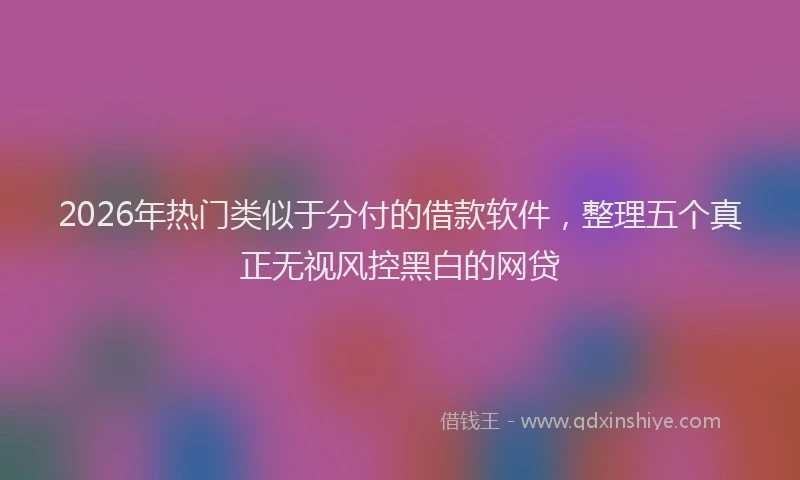 2026年热门类似于分付的借款软件，整理五个真正无视风控黑白的网贷