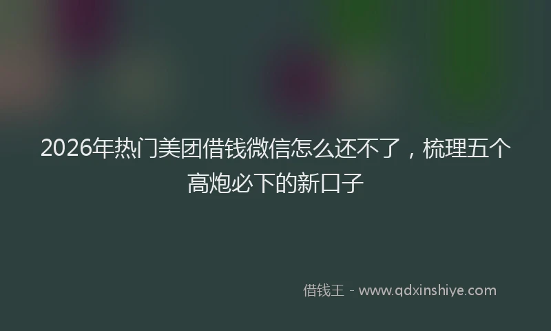 2026年热门美团借钱微信怎么还不了，梳理五个高炮必下的新口子