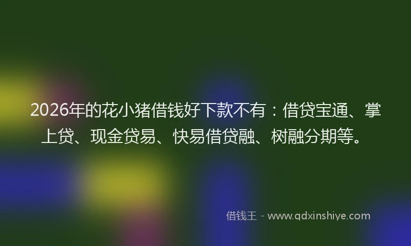 2026年的花小猪借钱好下款不有：借贷宝通、掌上贷、现金贷易、快易借贷融、树融分期等。