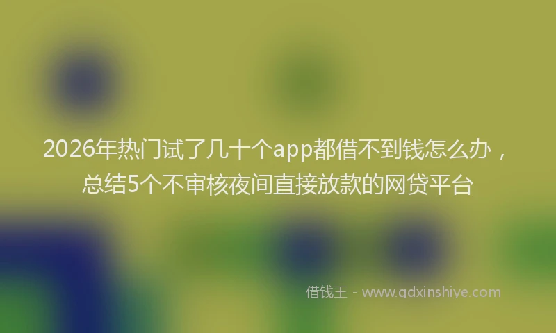 2026年热门试了几十个app都借不到钱怎么办，总结5个不审核夜间直接放款的网贷平台