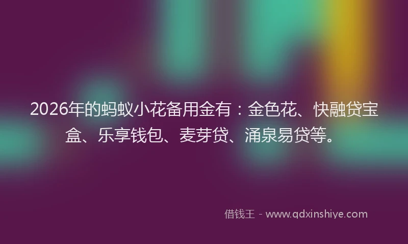 2026年的蚂蚁小花备用金有：金色花、快融贷宝盒、乐享钱包、麦芽贷、涌泉易贷等。