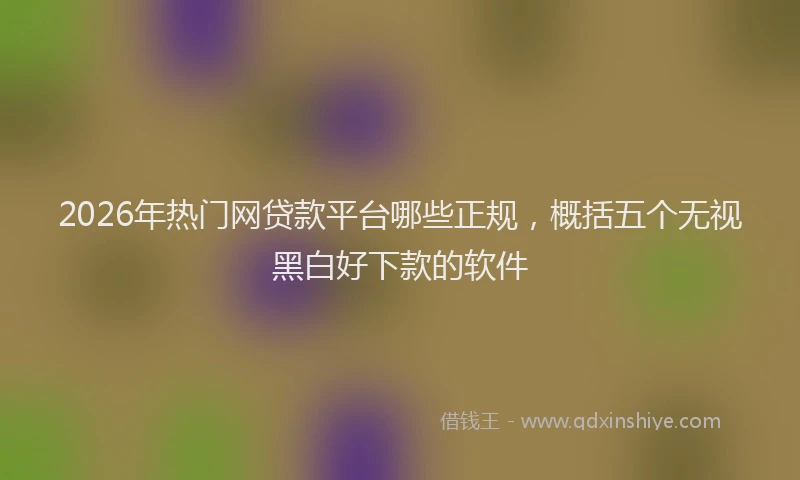 2026年热门网贷款平台哪些正规，概括五个无视黑白好下款的软件