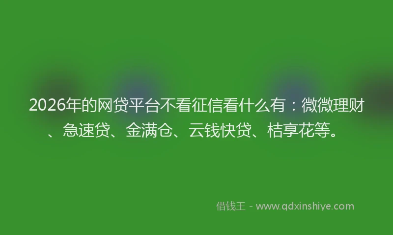 2026年的网贷平台不看征信看什么有：微微理财、急速贷、金满仓、云钱快贷、桔享花等。
