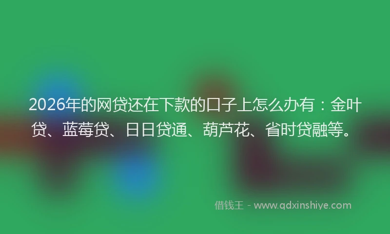 2026年的网贷还在下款的口子上怎么办有：金叶贷、蓝莓贷、日日贷通、葫芦花、省时贷融等。