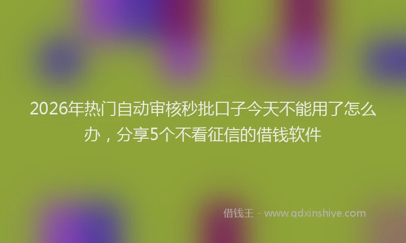 2026年热门自动审核秒批口子今天不能用了怎么办，分享5个不看征信的借钱软件