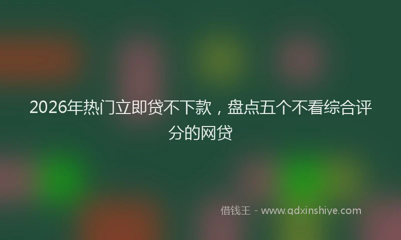 2026年热门立即贷不下款，盘点五个不看综合评分的网贷