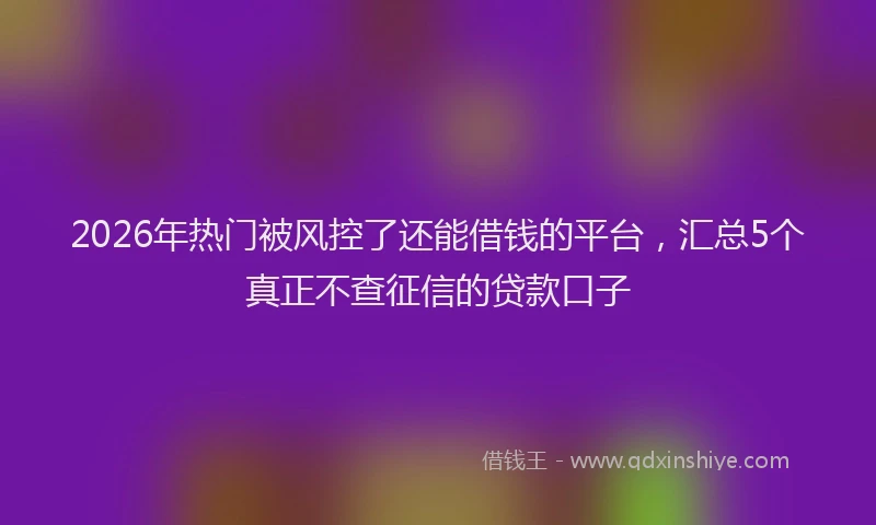 2026年热门被风控了还能借钱的平台，汇总5个真正不查征信的贷款口子