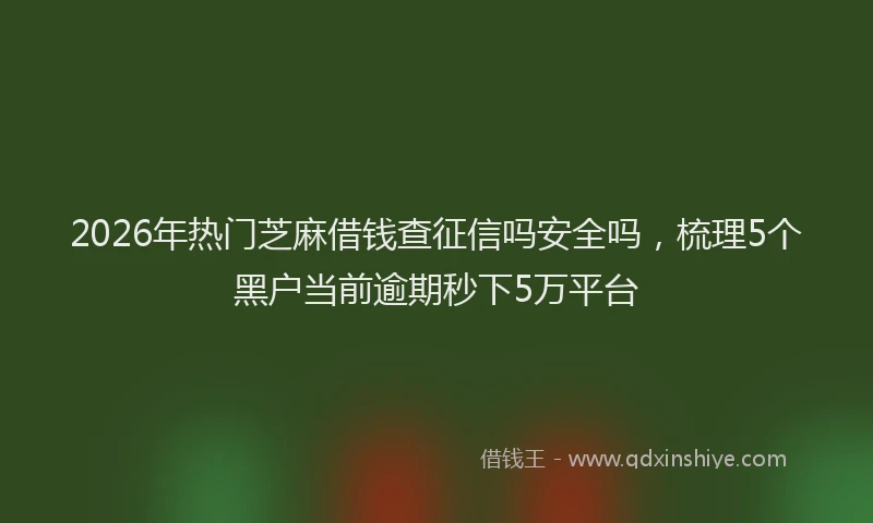 2026年热门芝麻借钱查征信吗安全吗，梳理5个黑户当前逾期秒下5万平台