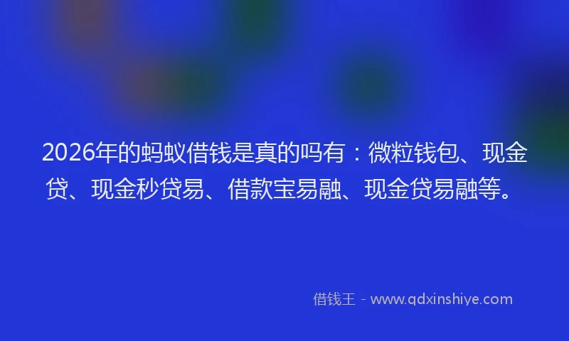 2026年的蚂蚁借钱是真的吗有：微粒钱包、现金贷、现金秒贷易、借款宝易融、现金贷易融等。