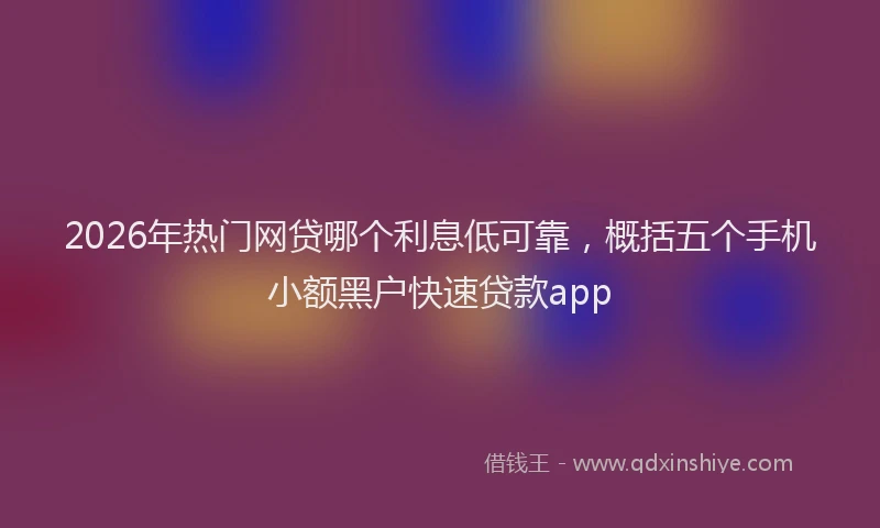 2026年热门网贷哪个利息低可靠，概括五个手机小额黑户快速贷款app