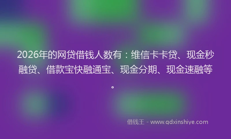 2026年的网贷借钱人数有：维信卡卡贷、现金秒融贷、借款宝快融通宝、现金分期、现金速融等。