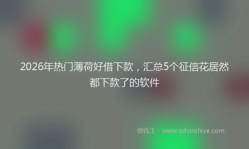 2026年热门薄荷好借下款，汇总5个征信花居然都下款了的软件