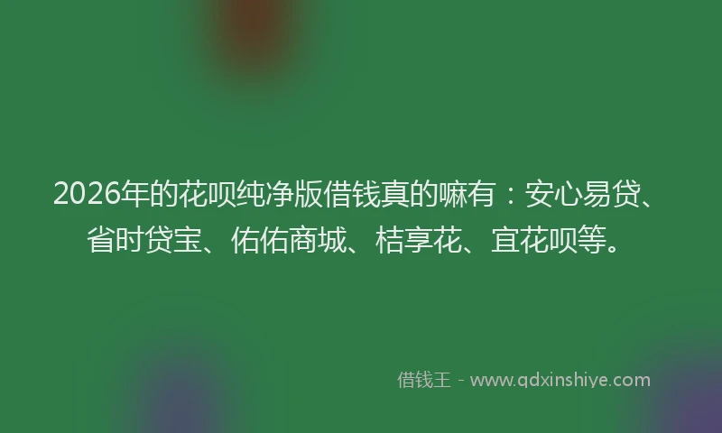 2026年的花呗纯净版借钱真的嘛有：安心易贷、省时贷宝、佑佑商城、桔享花、宜花呗等。