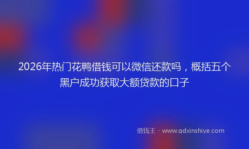 2026年热门花鸭借钱可以微信还款吗，概括五个黑户成功获取大额贷款的口子