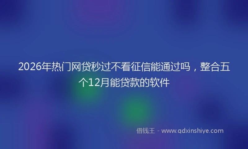 2026年热门网贷秒过不看征信能通过吗，整合五个12月能贷款的软件