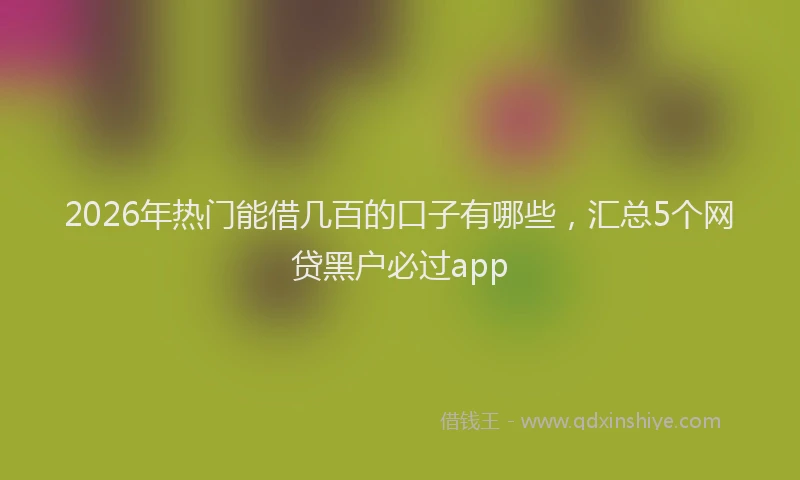 2026年热门能借几百的口子有哪些，汇总5个网贷黑户必过app