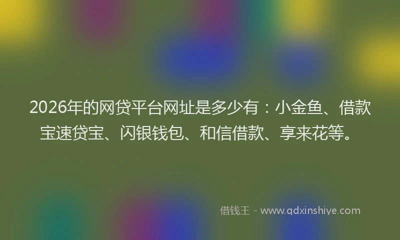 2026年的网贷平台网址是多少有：小金鱼、借款宝速贷宝、闪银钱包、和信借款、享来花等。
