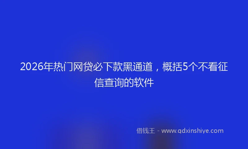 2026年热门网贷必下款黑通道，概括5个不看征信查询的软件