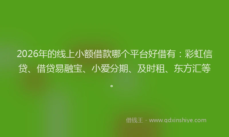 2026年的线上小额借款哪个平台好借有：彩虹信贷、借贷易融宝、小爱分期、及时租、东方汇等。