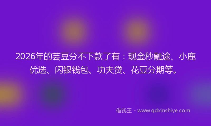 2026年的芸豆分不下款了有:现金秒融途、小鹿优选、闪银钱包、功夫贷、花豆分期等。