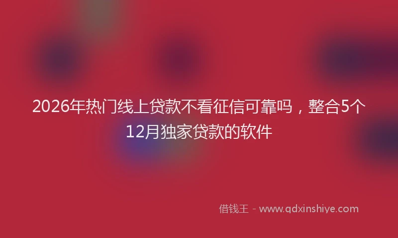 2026年热门线上贷款不看征信可靠吗，整合5个12月独家贷款的软件