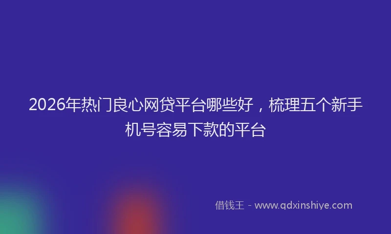 2026年热门良心网贷平台哪些好,梳理五个新手机号容易下款的平台
