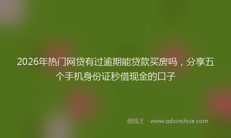 2026年热门网贷有过逾期能贷款买房吗，分享五个手机身份证秒借现金的口子