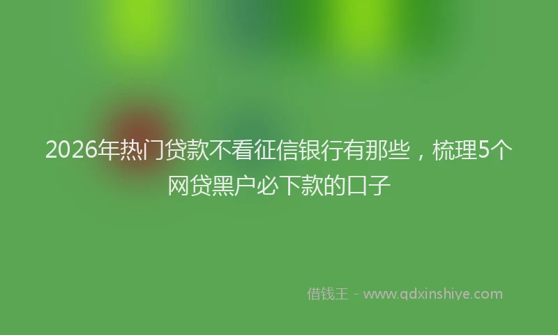2026年热门贷款不看征信银行有那些，梳理5个网贷黑户必下款的口子