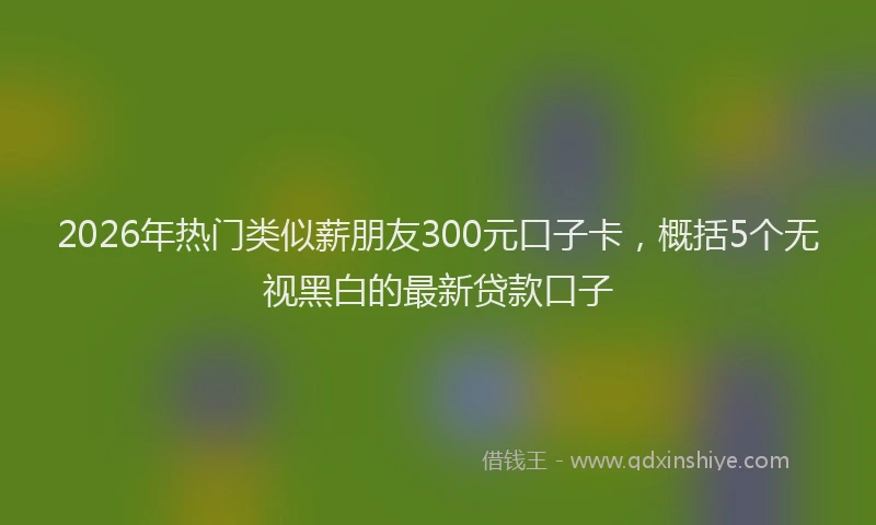 2026年热门类似薪朋友300元口子卡，概括5个无视黑白的最新贷款口子
