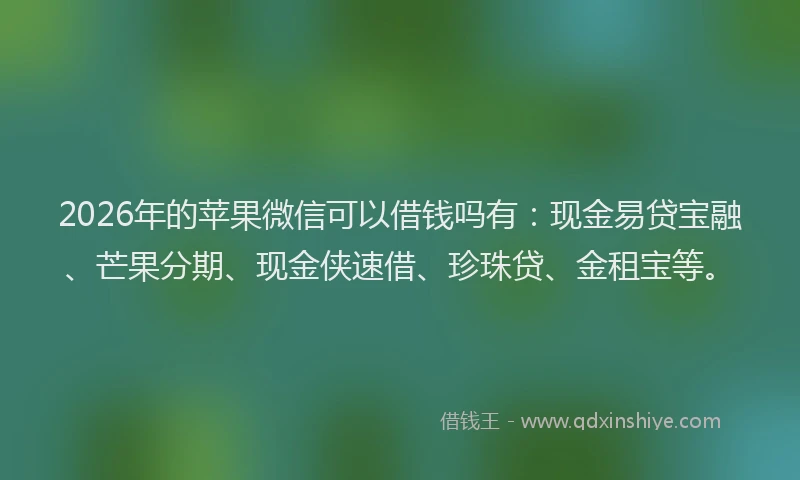 2026年的苹果微信可以借钱吗有：现金易贷宝融、芒果分期、现金侠速借、珍珠贷、金租宝等。