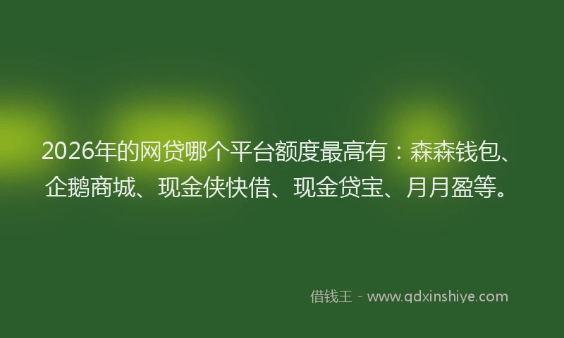 2026年的网贷哪个平台额度最高有:森森钱包、企鹅商城、现金侠快借、现金贷宝、月月盈等。