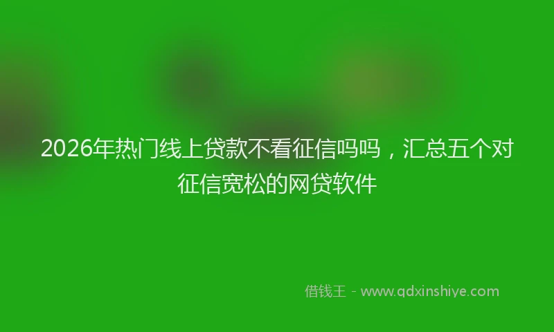 2026年热门线上贷款不看征信吗吗，汇总五个对征信宽松的网贷软件