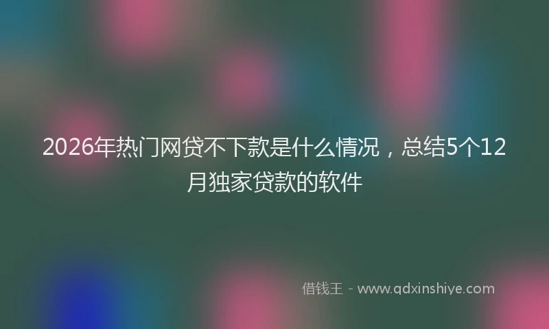 2026年热门网贷不下款是什么情况，总结5个12月独家贷款的软件