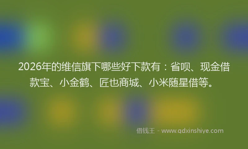 2026年的维信旗下哪些好下款有：省呗、现金借款宝、小金鹤、匠也商城、小米随星借等。